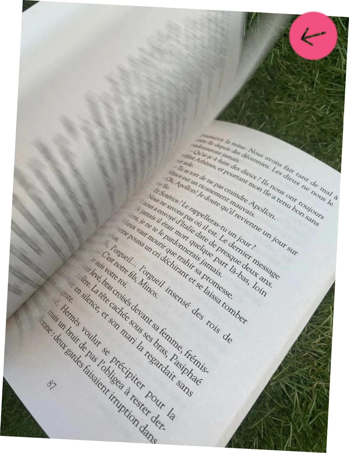 Livre scolaire. Le mystère dedalle 6ème – photo 6
